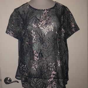 Sheer Embroidered Top
